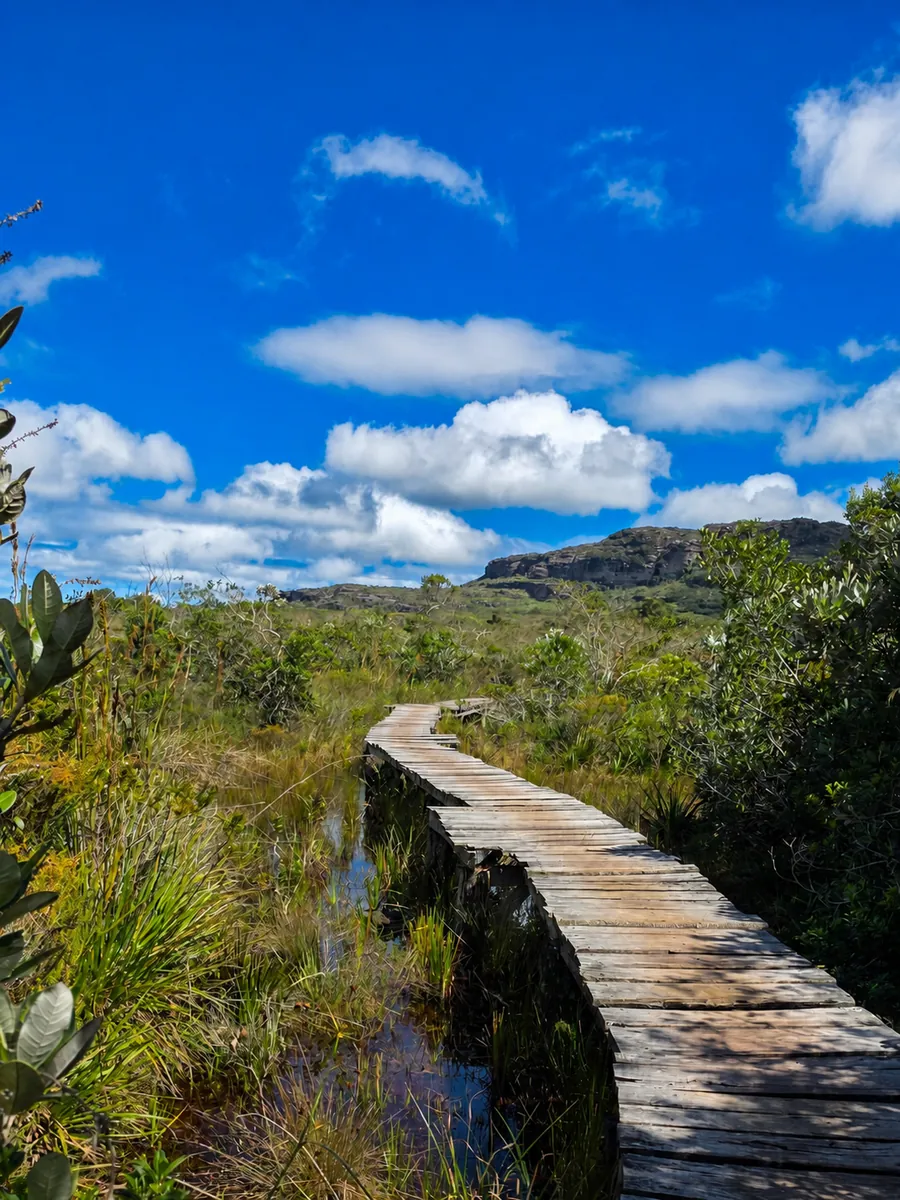 Como procuro tirar fotos melhores em viagens usando só o celular 14 Na Chapada Diamantina, a passarela ajuda a conduzir o olhar pela paisagem sem depender de zoom.