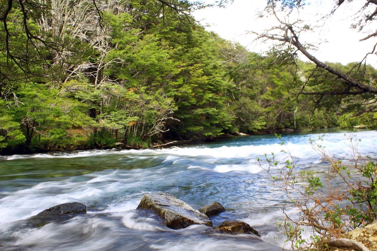 Roteiro de 8 dias em Bariloche 15 Corredeira do Río Manso, com água rápida entre pedras e mata ao redor.